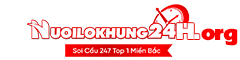 NUÔI LÔ KHUNG 24H